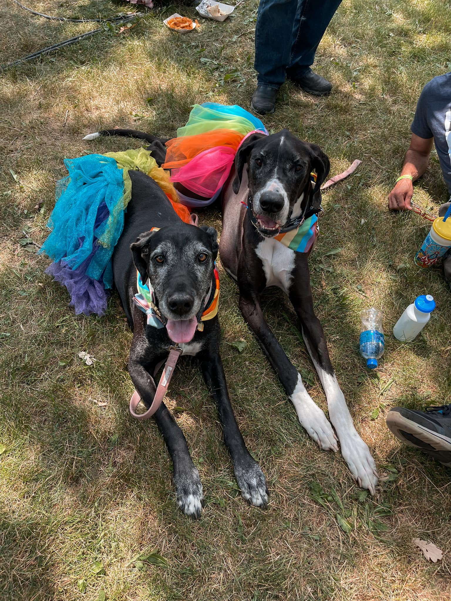 Madonna and Clifton at Minneapolis Pride