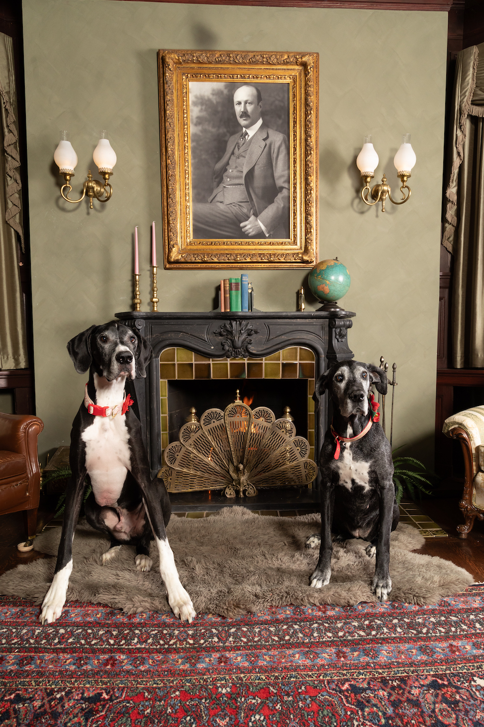 Two Great Danes sit in front of a carved black fireplace with a green tile surround and brass fan screen, beneath a gilt-framed antique portrait flanked by brass sconces at 300 Clifton.